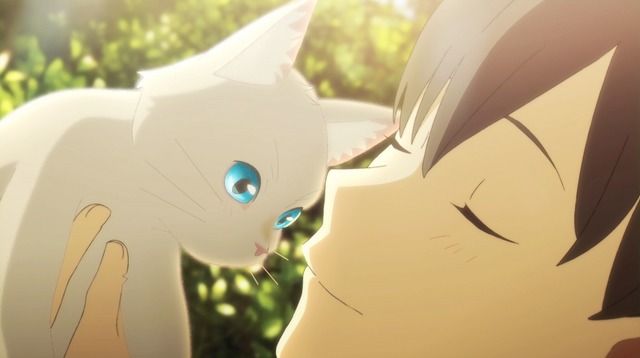 泣きたい私は猫をかぶる 猫に変身して好きな人に超接近 場面写真が一挙公開 年3月27日 エキサイトニュース