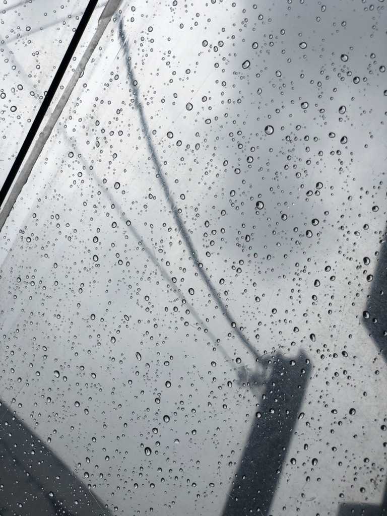 雨の日でも大丈夫 雨を味方につけた写真の撮り方 ローリエプレス