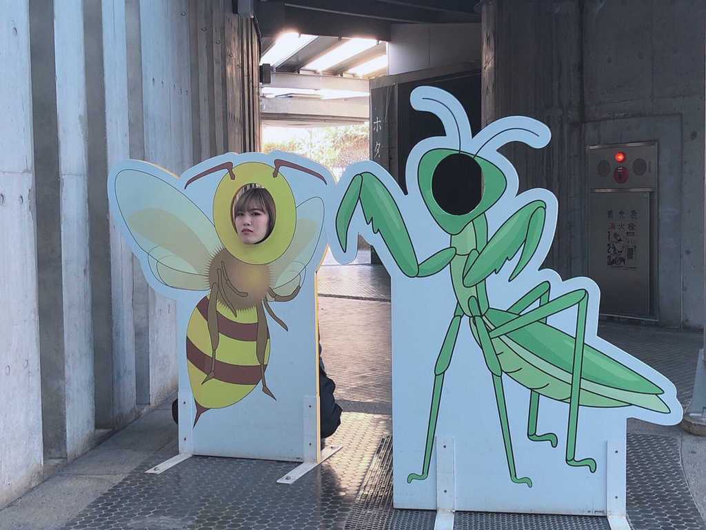 飛び回る蝶の群れにうっとり 多摩動物公園の 昆虫館 がスゴイ デートにも ローリエプレス