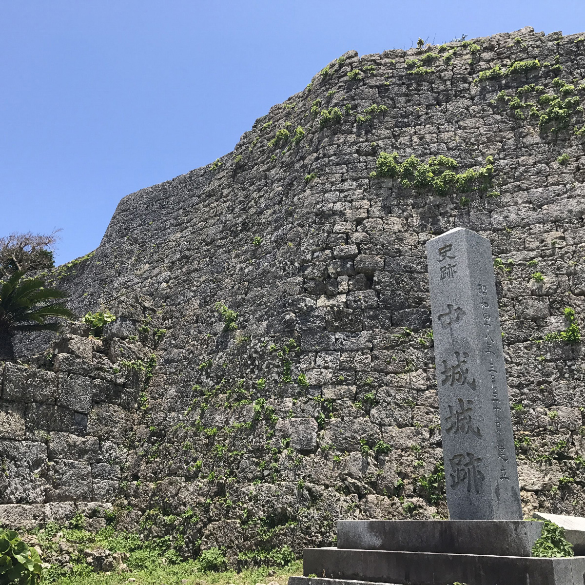 村なのに人口増加率が2ケタ増の沖縄県中城村 そのワケとは 21年7月8日 エキサイトニュース