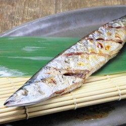 赤身魚 青魚 ツナ缶まで 常温保存で気をつけたい ヒスタミン食中毒 15年9月23日 エキサイトニュース