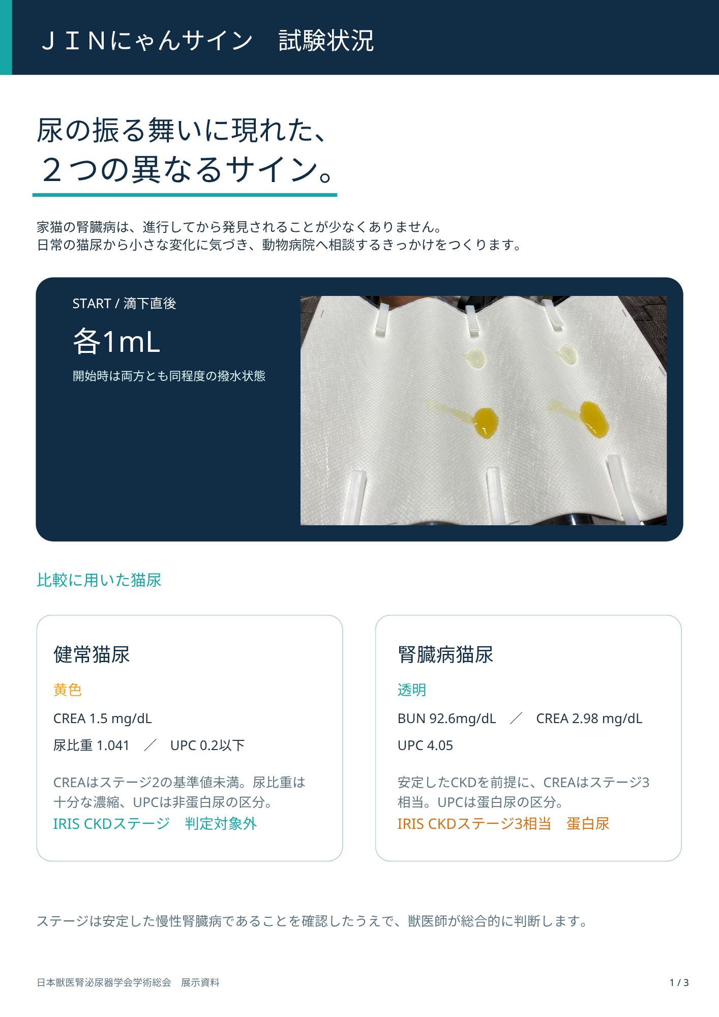 猫の尿から「沈黙の臓器」腎臓の変化に気づく新たな研究を日本獣医腎