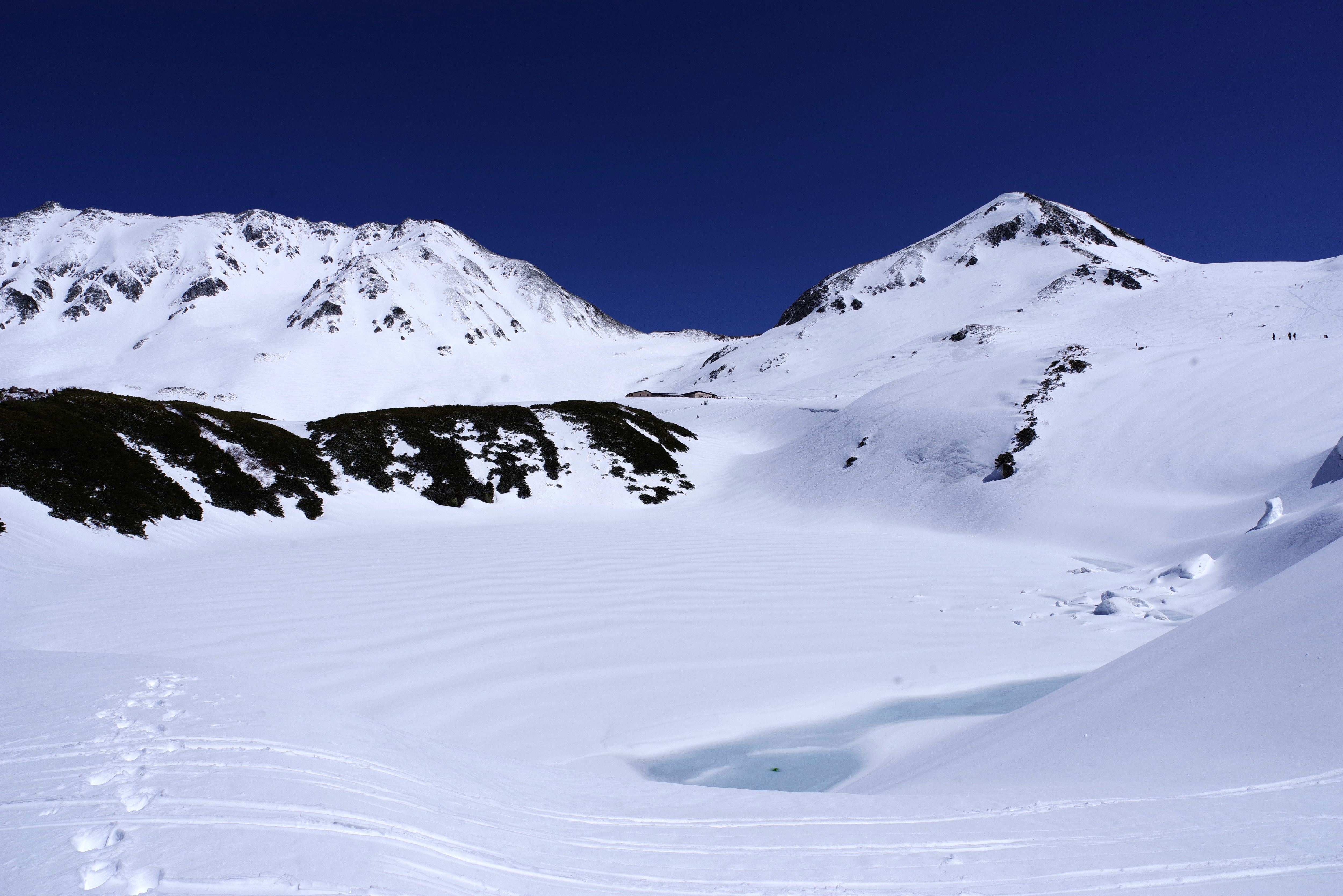 立山黒部アルペンルート」に初夏の訪れ 2026年5月12日(火)より「みくり