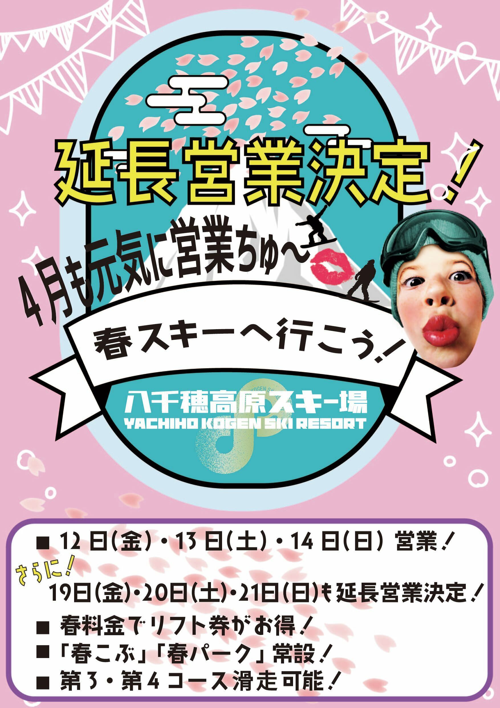 三枚 易しい 八千穂高原スキー場 1日リフト券