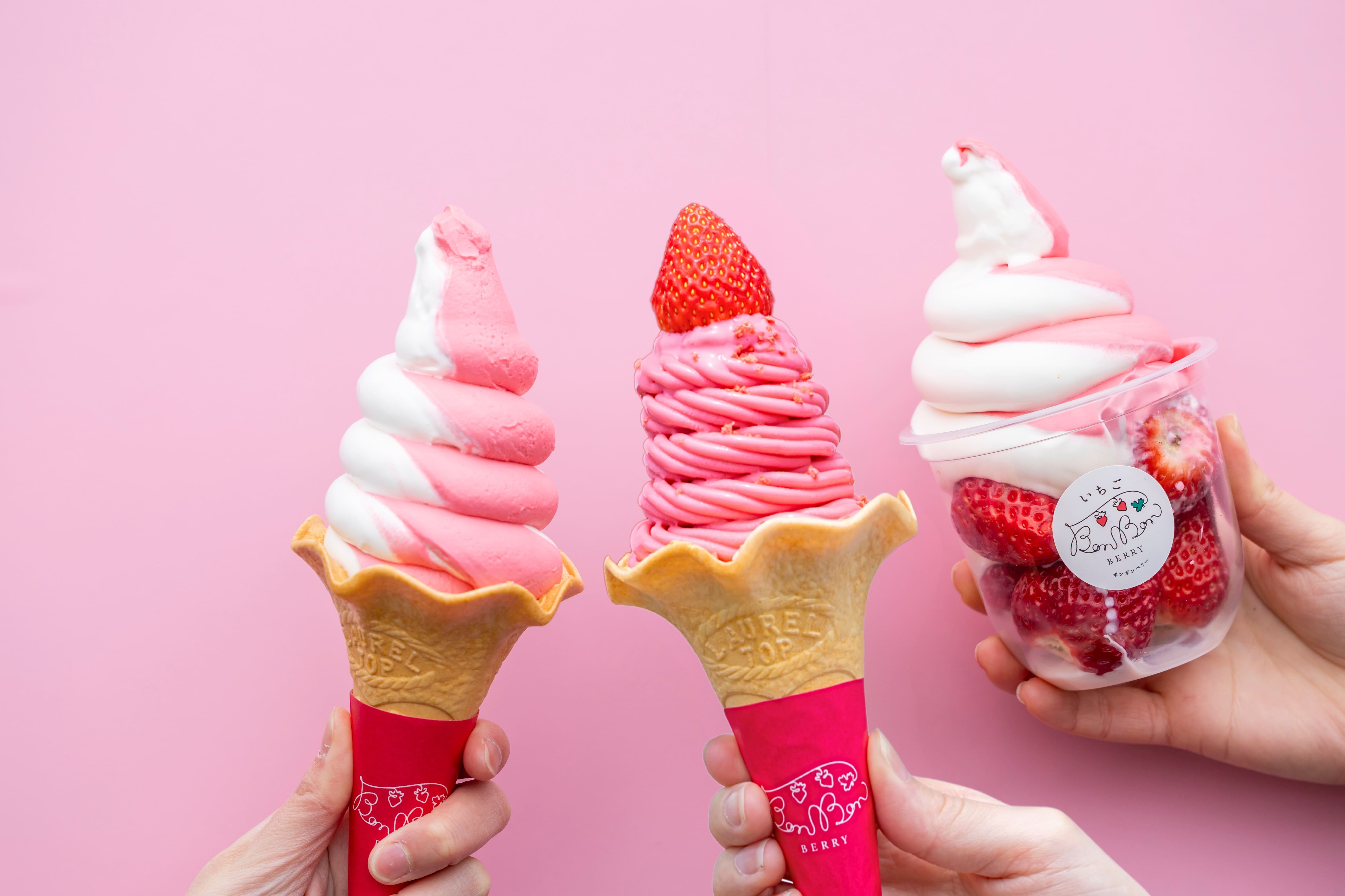 いちご専門店の道の駅 いちごBonBonBERRY＞4月15日(水)から、オープン