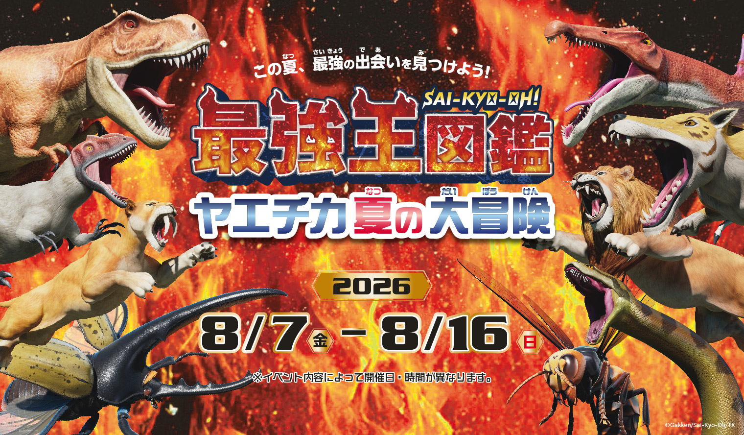 最強王図鑑 ヤエチカ夏の大冒険」8月7日(金)からヤエチカで開催