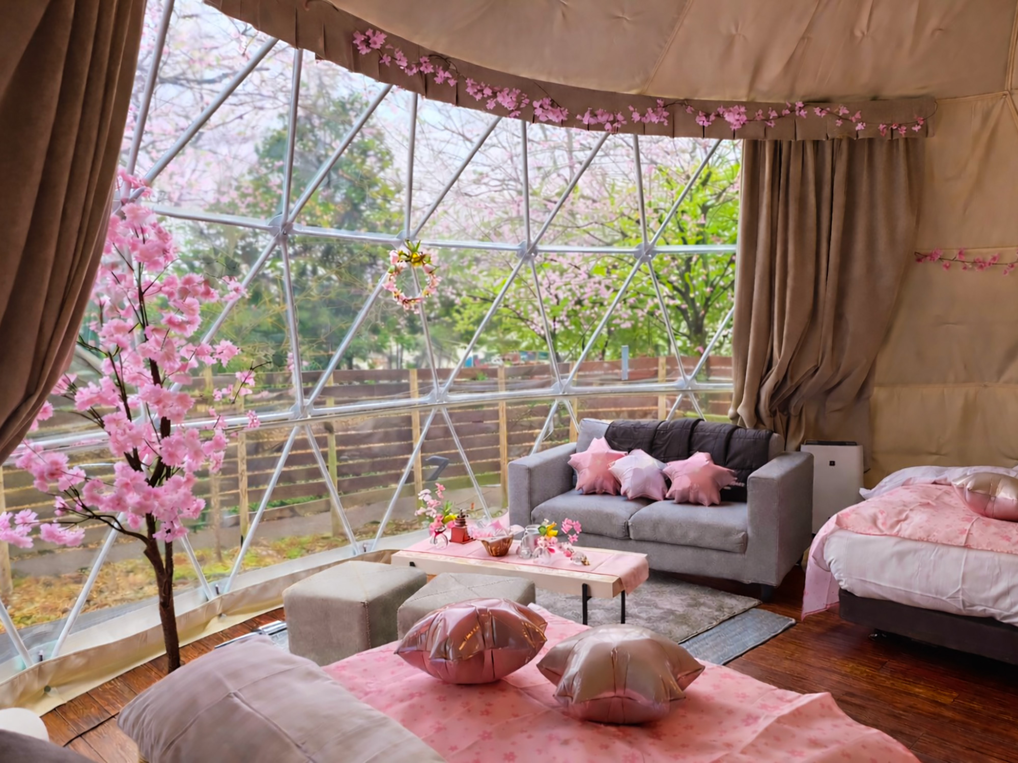 1日1棟限定＞ 花粉・寒さゼロの「インドアお花見」×「夜桜BBQ」でW満喫