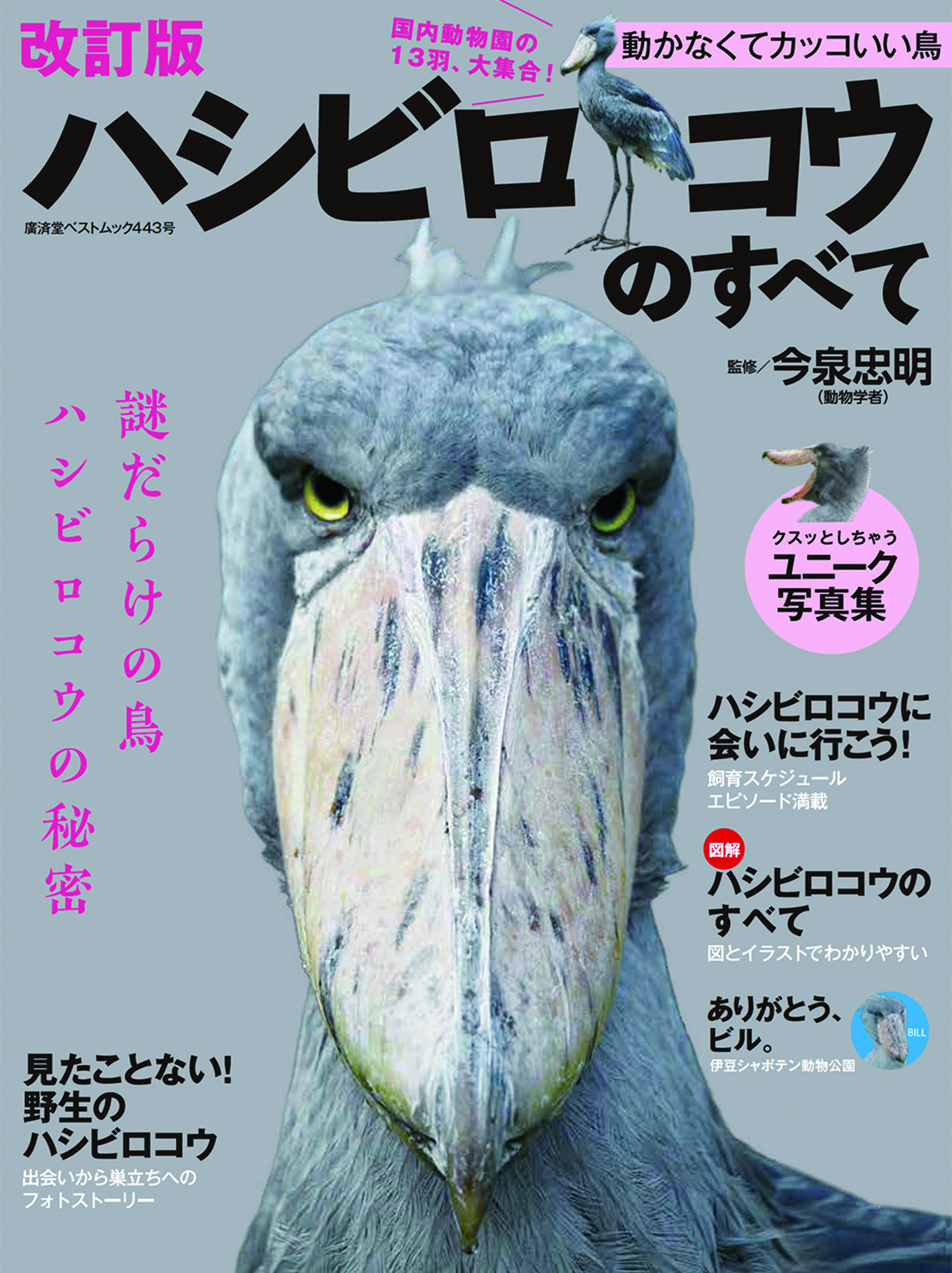 動物ジャンルでは異例の6刷となった書籍の改訂版 ハシビロコウのすべて 改訂版 を ハシビロコウカレンダー21 と同時に10月13日発売 年10月13日 エキサイトニュース