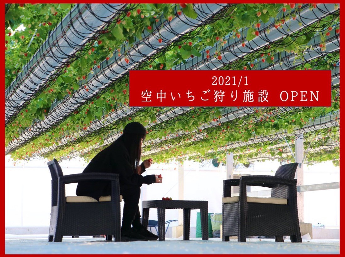 東海初 空中いちご農園 が岐阜県安八郡に1月4日オープン 運用資金を募るためクラウドファンディングも実施 21年1月18日 エキサイトニュース