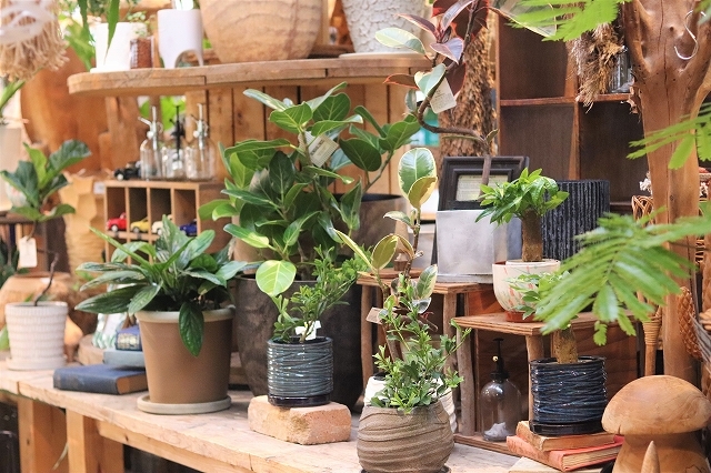 Kuzuha Mall くずはモール 21年春 25店舗がnew Renewal Open 21年2月16日 エキサイトニュース 3 4