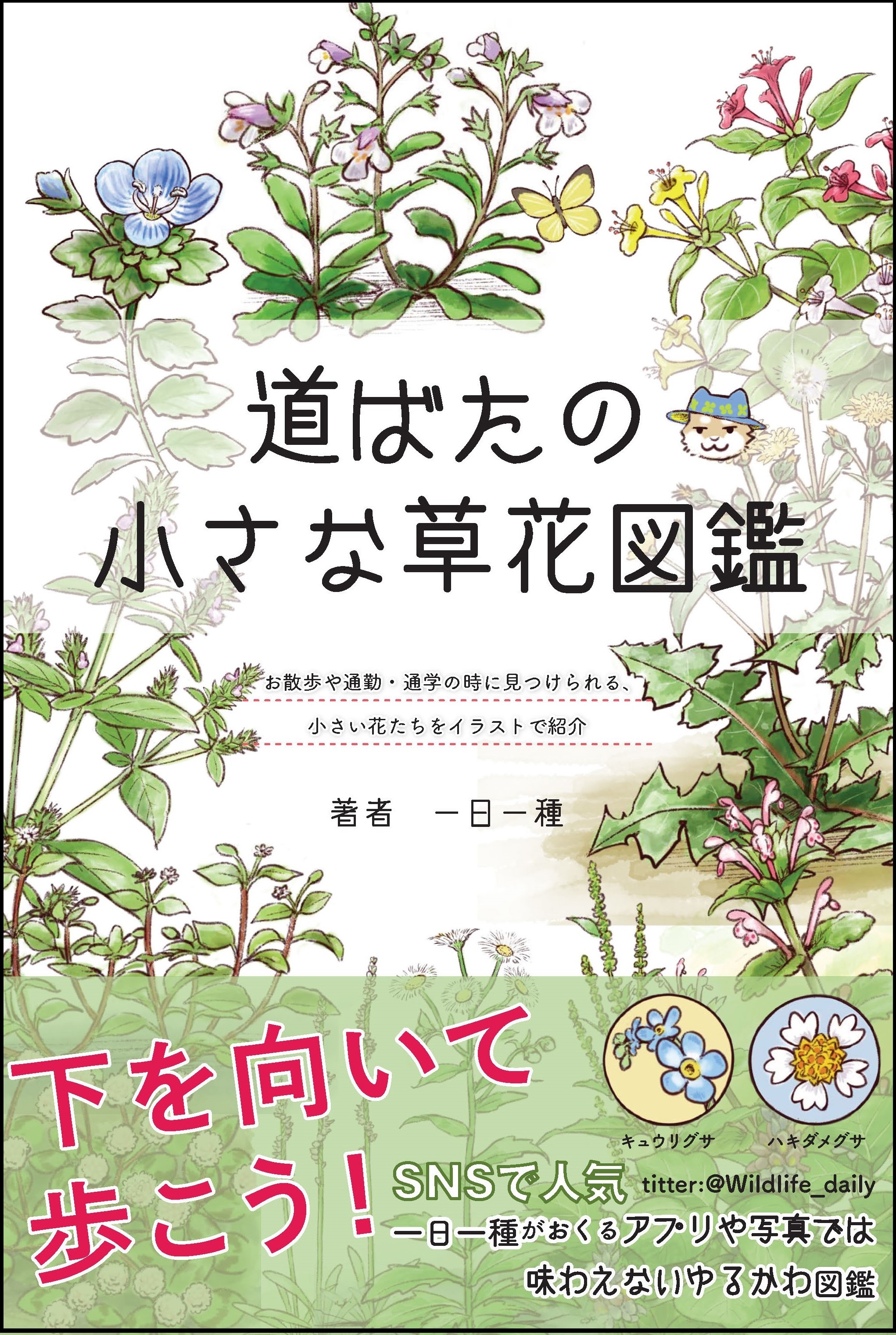 下を向いて歩こう 道ばたの小さな草花図鑑 新刊 21年4月13日発売 21年4月12日 エキサイトニュース