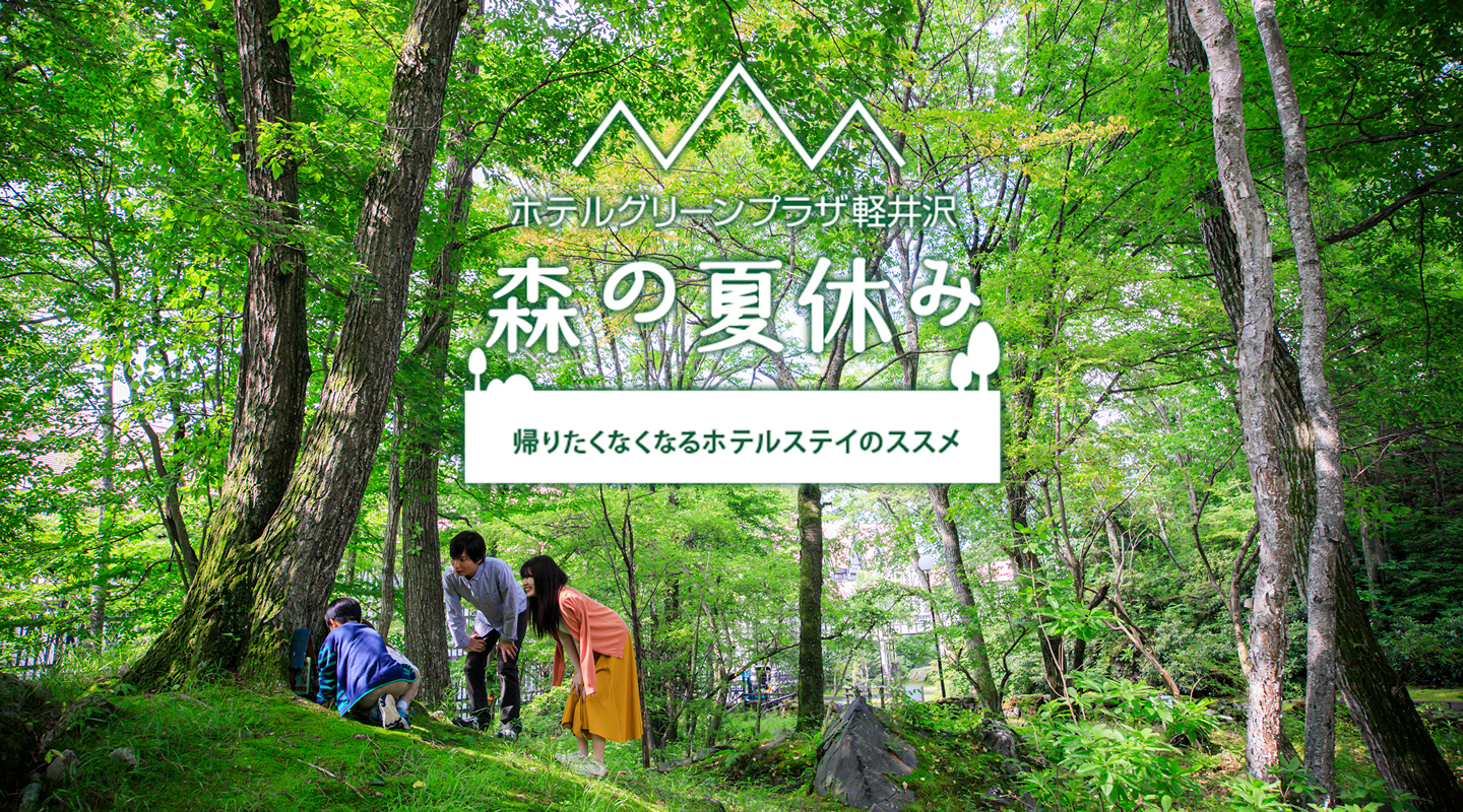 帰りたくなくなる 森の夏休み を演出する宿泊プランが登場 軽井沢おもちゃ王国とホテル周辺でのびのびと遊べる特典が満載 ホテルグリーンプラザ軽井沢 21年6月25日 エキサイトニュース 3 5