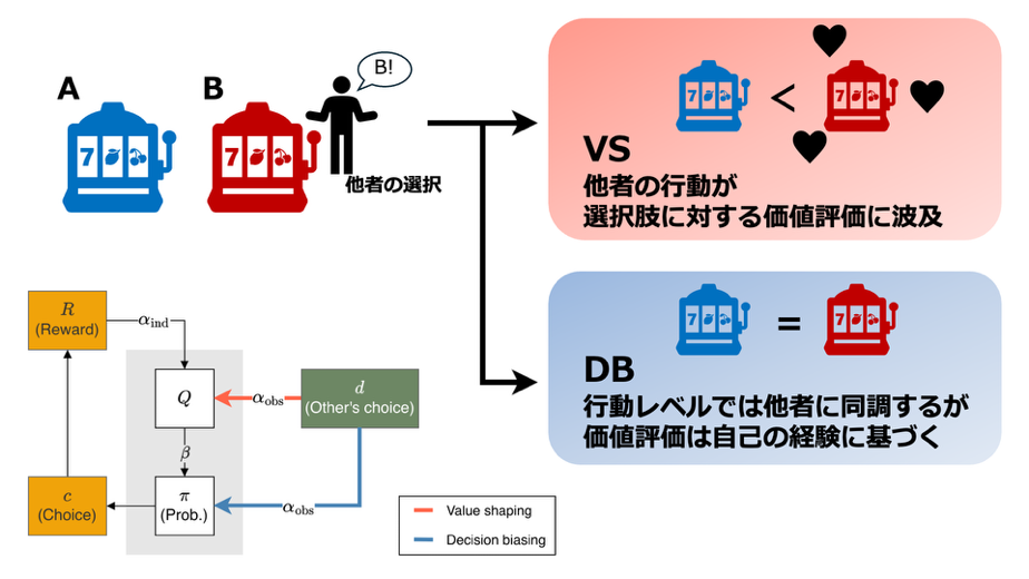 集団が急激な環境変化に柔軟に対応できるための認知・行動メカニズムを