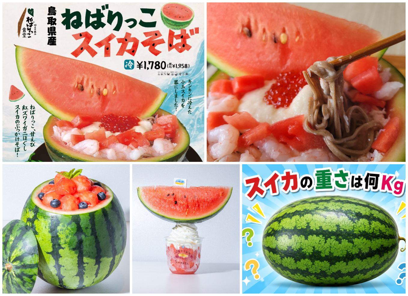 6月13日開幕】鳥取県の夏の味覚「大栄スイカ」を全国へ！道の駅