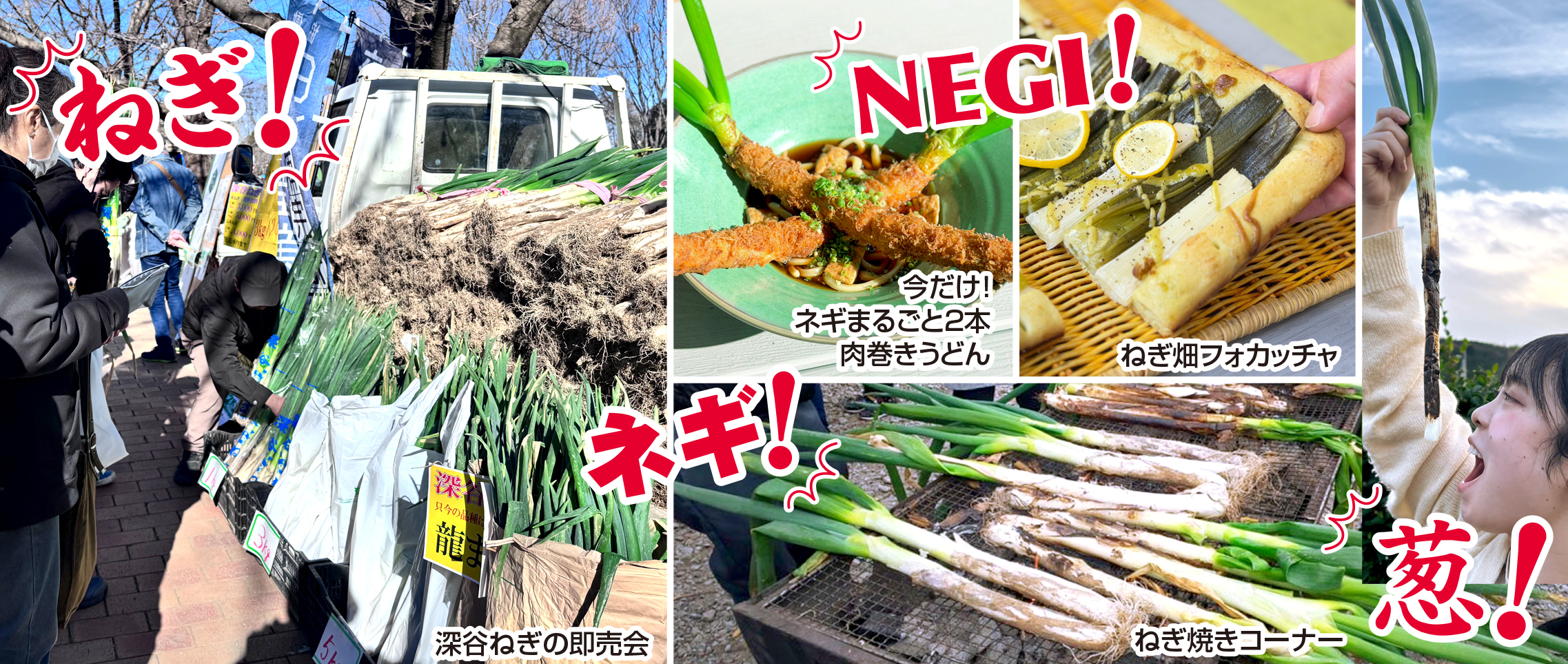 やほ一様専用 青ねぎ 10×5ケース 17日スタート 【公式通販】
