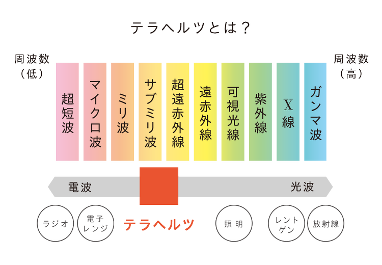 超吸水型生理ショーツ Be A ベア シグネチャーショーツ 爆誕 ナプキン タンポン不要 経血モレなし ニオイなしサスティナブルショーツの使用感レポート公開 ローリエプレス