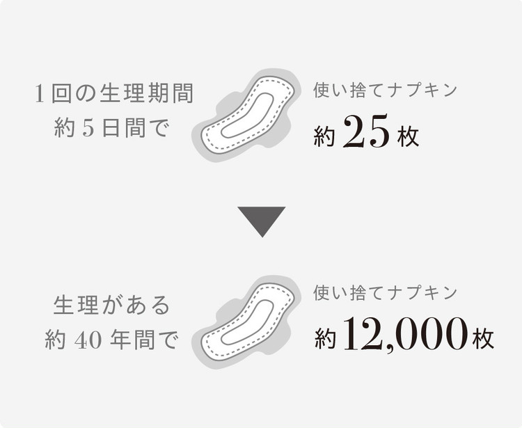 超吸水型生理ショーツ Be A ベア シグネチャーショーツ 爆誕 ナプキン タンポン不要 経血モレなし ニオイなしサスティナブルショーツの使用感レポート公開 ローリエプレス