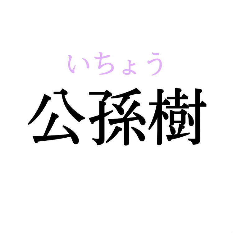 公孫樹 この漢字 自信を持って読めますか 働く大人の漢字クイズvol 81 ローリエプレス