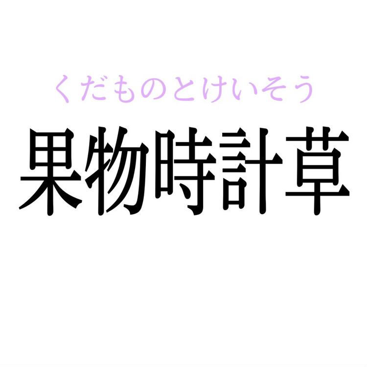 果物時計草 この漢字 自信を持って読めますか 働く大人の漢字クイズvol 96 ローリエプレス