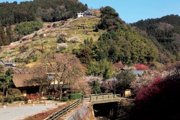 うわっ読めない 歴史濃厚 奈良県編 全日本 難読地名 クイズ30秒チャレンジ 47都道府県 地名の謎 Best Times ベストタイムズ