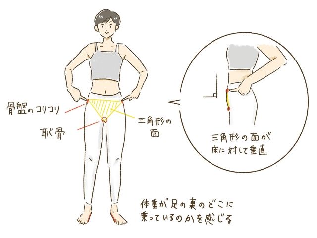 最強の若返り美人化ホルモンと 自分の骨盤の正しい傾きを知る 19年7月25日 エキサイトニュース 4 5