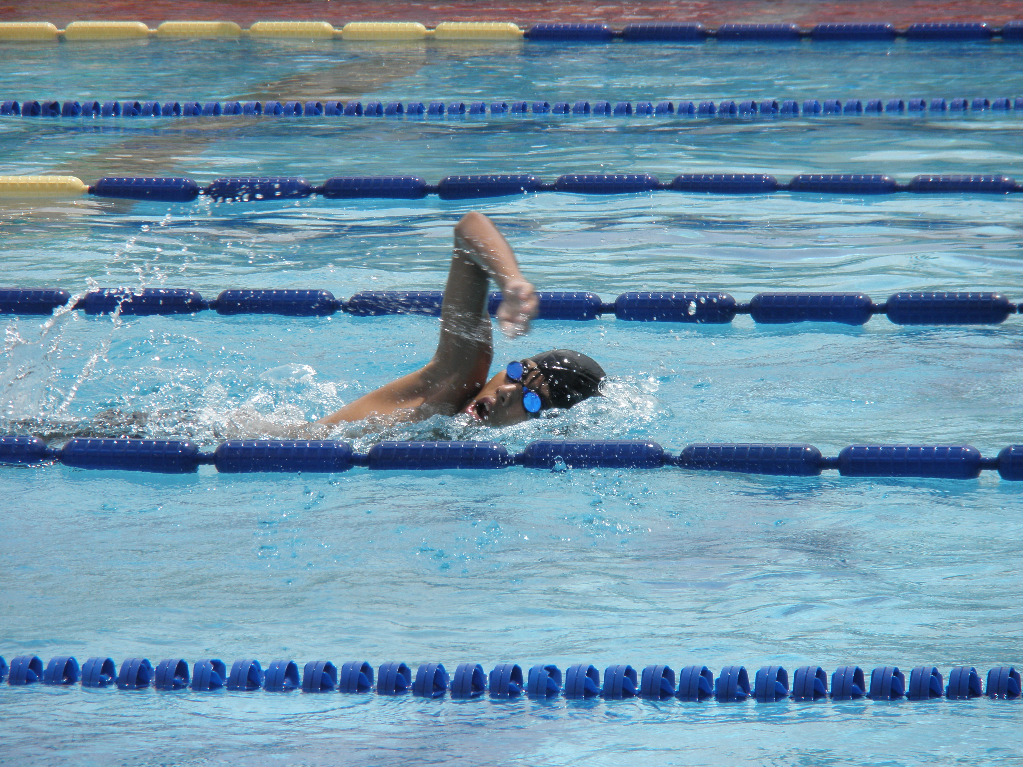 学校にプールは世界的にまれな話 日本のプールに外国の賞賛の嵐 日本が競泳大国なのは学校プールのおかげ 16年11月11日 エキサイトニュース