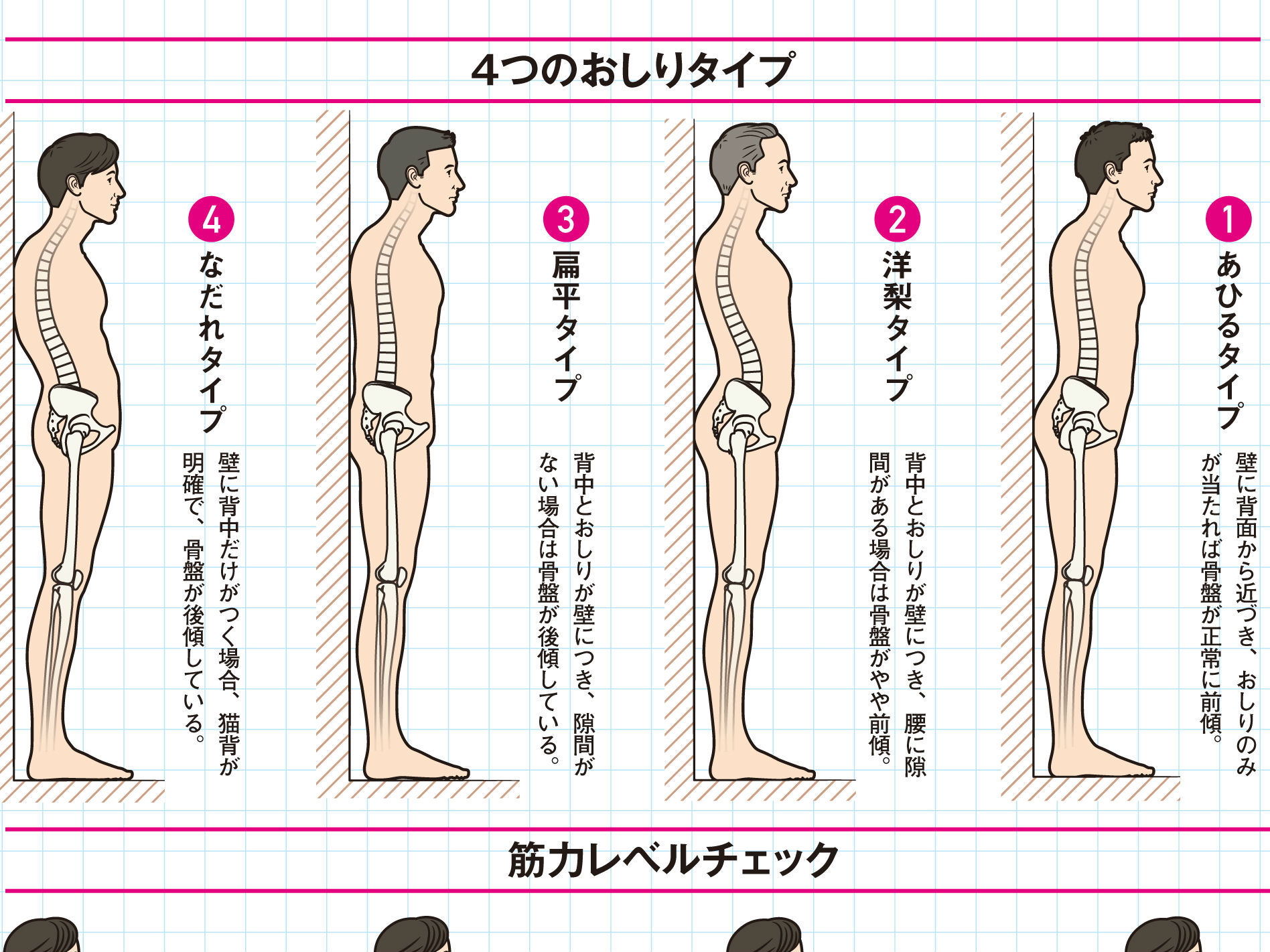 あなたの おしり力 はどのくらい 鍛えることで腰痛の解消に 17年2月14日 エキサイトニュース 2 2