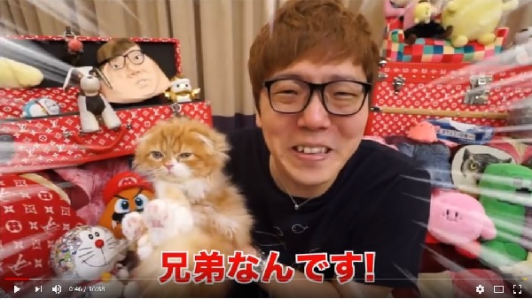 ヒカキン まるお に続き2匹目の猫を飼う 離れ離れになった兄妹を一緒にしてあげたい 18年9月12日 エキサイトニュース