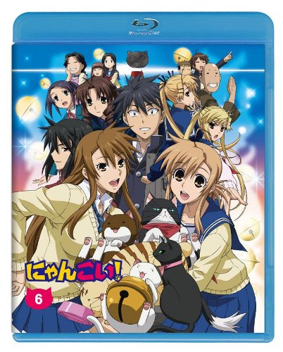 アニメキャラの魅力 恋に呪いにアレルギー 己と猫の為に奔走する男 高坂潤平 の魅力とは にゃんこい 15年4月28日 エキサイトニュース