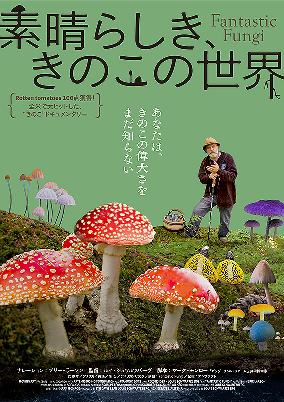 素晴らしき きのこの世界 レビュー 菌糸こそは地球のネットワーク キモ美しく幻覚的ネイチャー ドキュメンタリー映画 21年9月23日 エキサイトニュース