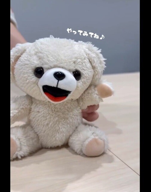 ぬい活】大事なぬいぐるみを優しく洗ってキレイに - 洗われる