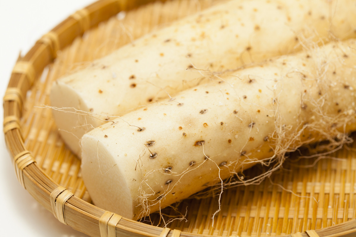 生活習慣病のニュース 社会 230件 エキサイトニュース