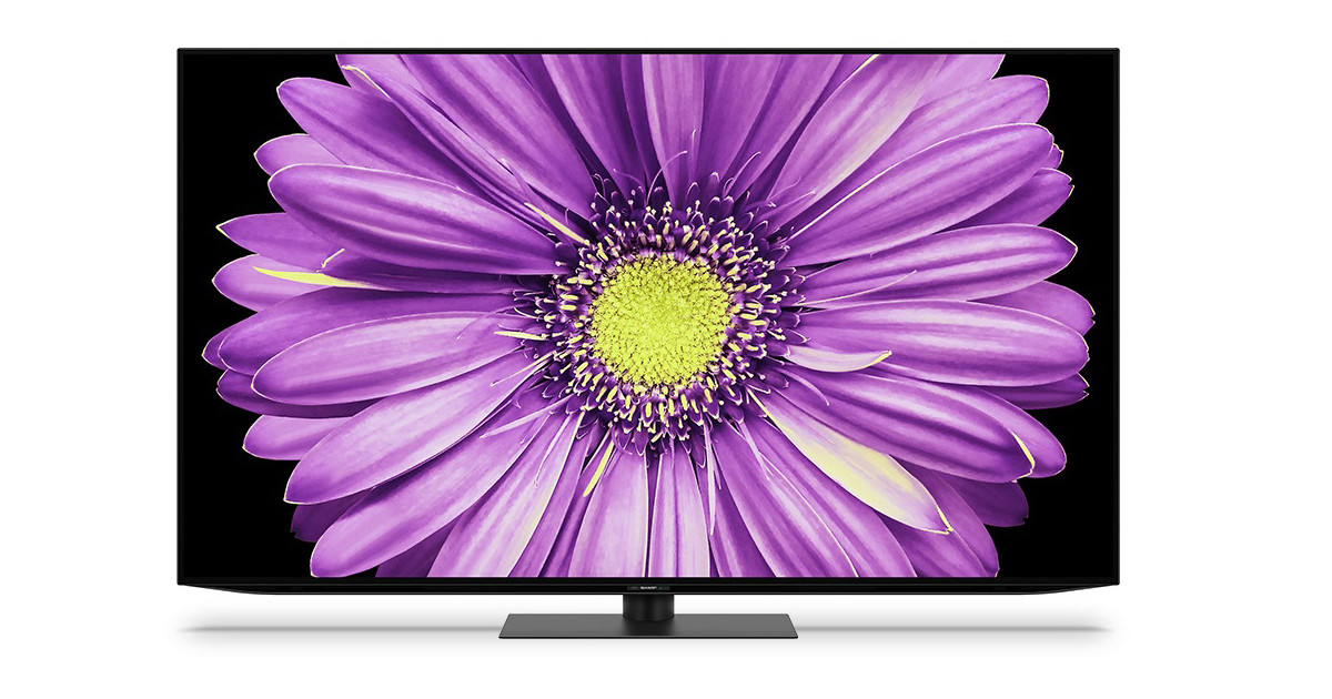 シャープ 映り込みを抑えた4k有機elテレビ 55v型で約25 3万円 2021年9月8日 エキサイトニュース