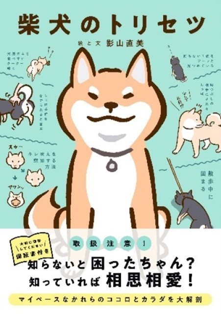 西東社 柴飼い歴24年の人気イラストレーターが描く 柴犬のトリセツ を発売 2021年11月6日 エキサイトニュース