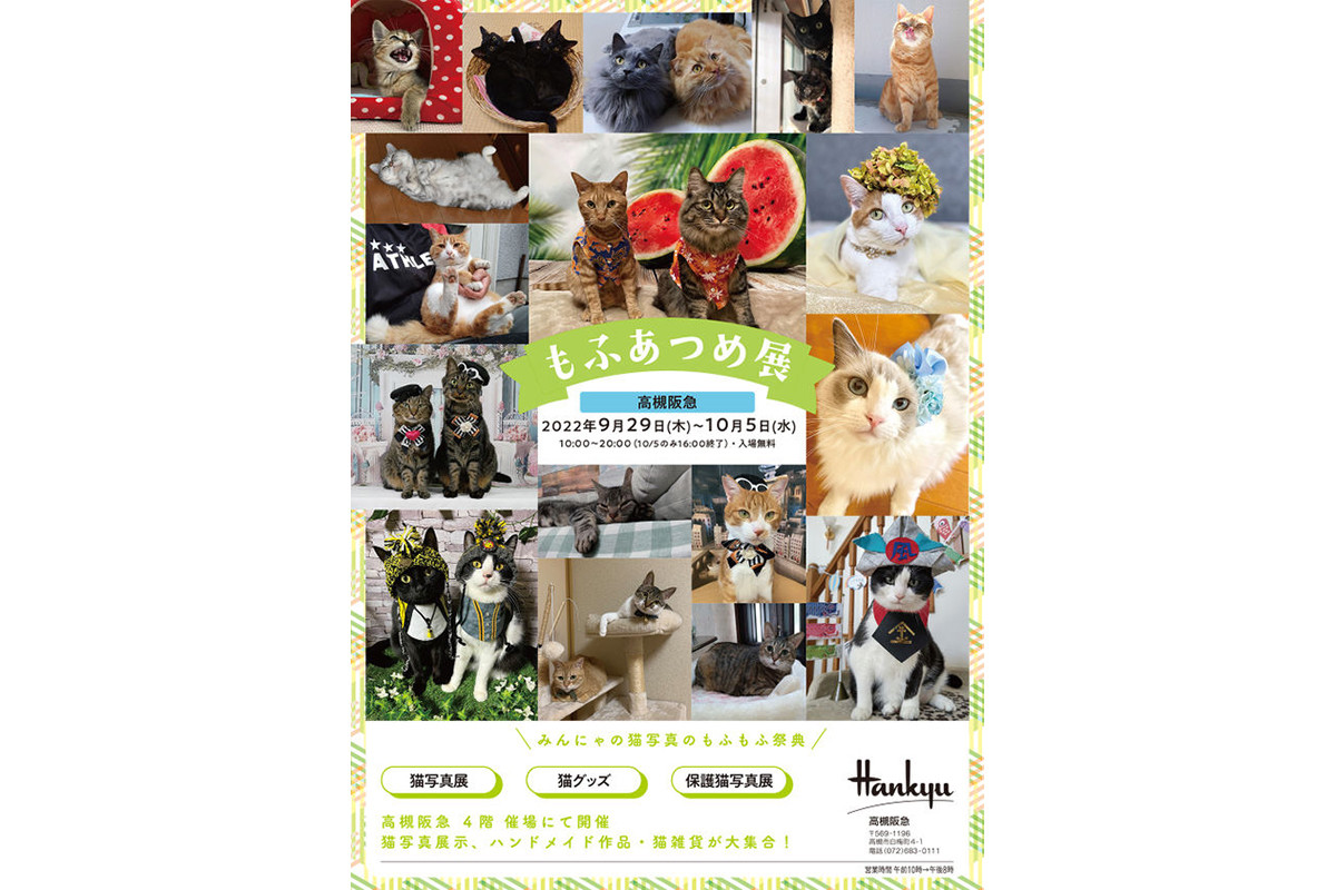 猫写真や猫作品約800点が大集結の もふあつめ展 が高槻阪急で開催中 22年10月3日 エキサイトニュース 猫写真や猫作品約800点が大集結の もふあつめ展 が高槻阪急で開催中 22年10月3日 エキサイトニュース