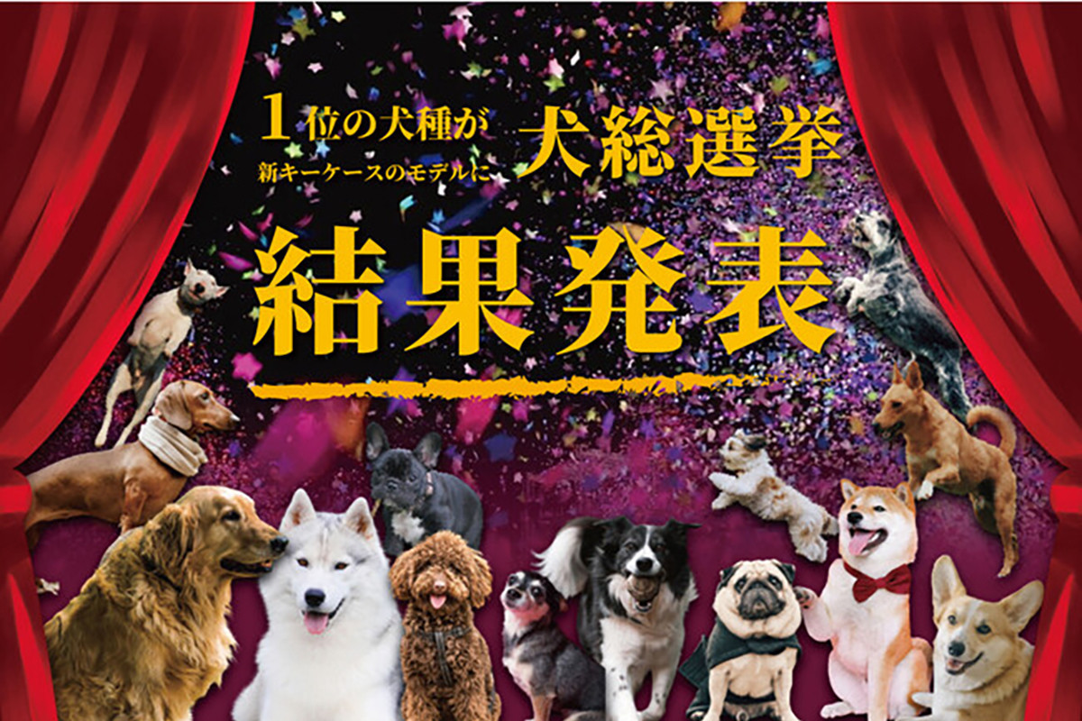 好きな犬種ランキングの結果発表 1位は海外でも人気のあの日本犬 22年10月11日 エキサイトニュース