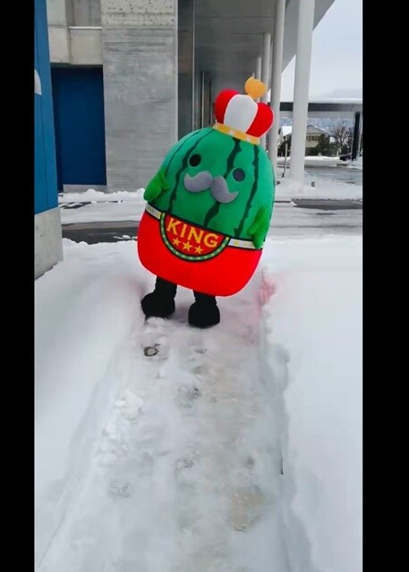 最後に立っていれば勝ち⁉】雪道の歩き方を伝授するゆるキャラ