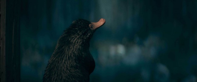 新登場の魔法動物も！ 『ファンタビ』特別映像、日本先行解禁 (2022年3 