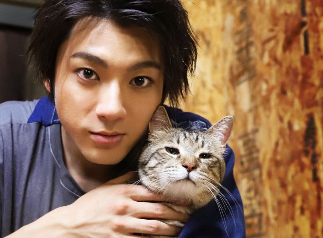 山田裕貴が100匹以上の猫とモフモフ ニャンコ王国に潜入 19年7月日 エキサイトニュース