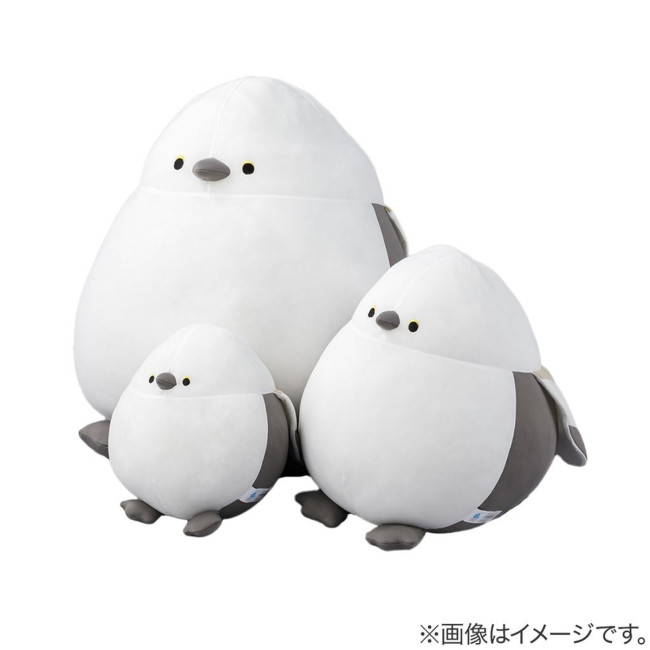 ニトリ「Nクールぬいぐるみ」に新作登場！ 今年はチンアナゴやかっぱが