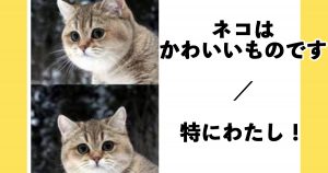 腹筋崩壊注意 朝から思わず吹き出す動物ボケて10選 18年12月30日 エキサイトニュース