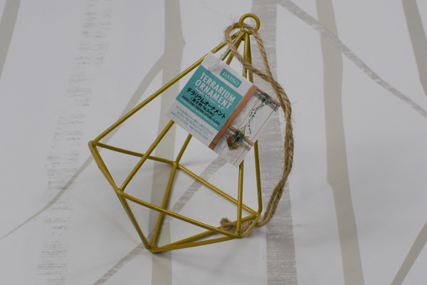 100均ずぼらシュラン 使い方は無限 緑の癒しを感じるダイソー テラリウムオーナメント 19年9月2日 エキサイトニュース