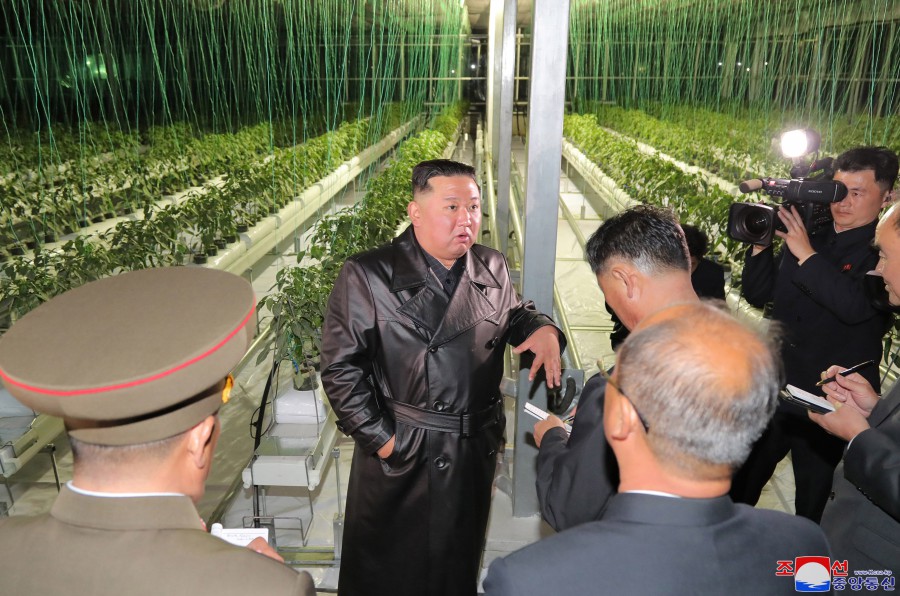 春の農業の準備は「泥棒」から始まる北朝鮮
