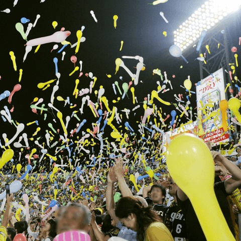 プロ野球 甲子園球場スタンド百景 おかしくて愛すべき甲子園の阪神ファンたち 応援ユニフォーム編 16年12月25日 エキサイトニュース