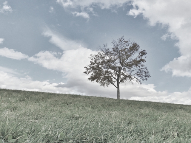人と関わりたくないときの心理って 対処法やおすすめの仕事もご紹介 ローリエプレス