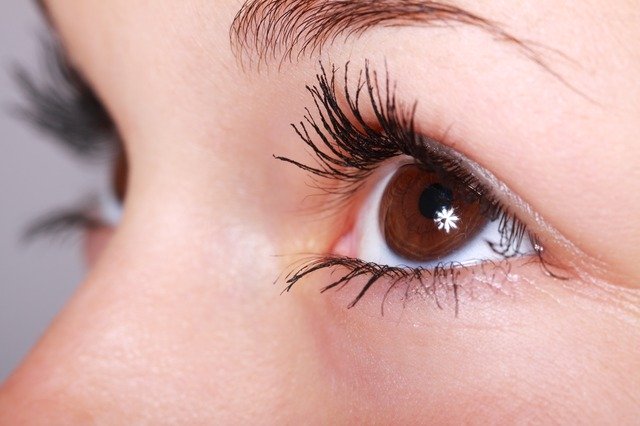 眼輪筋を鍛えて美しい目もとに 簡単トレーニング マッサージを紹介 ローリエプレス