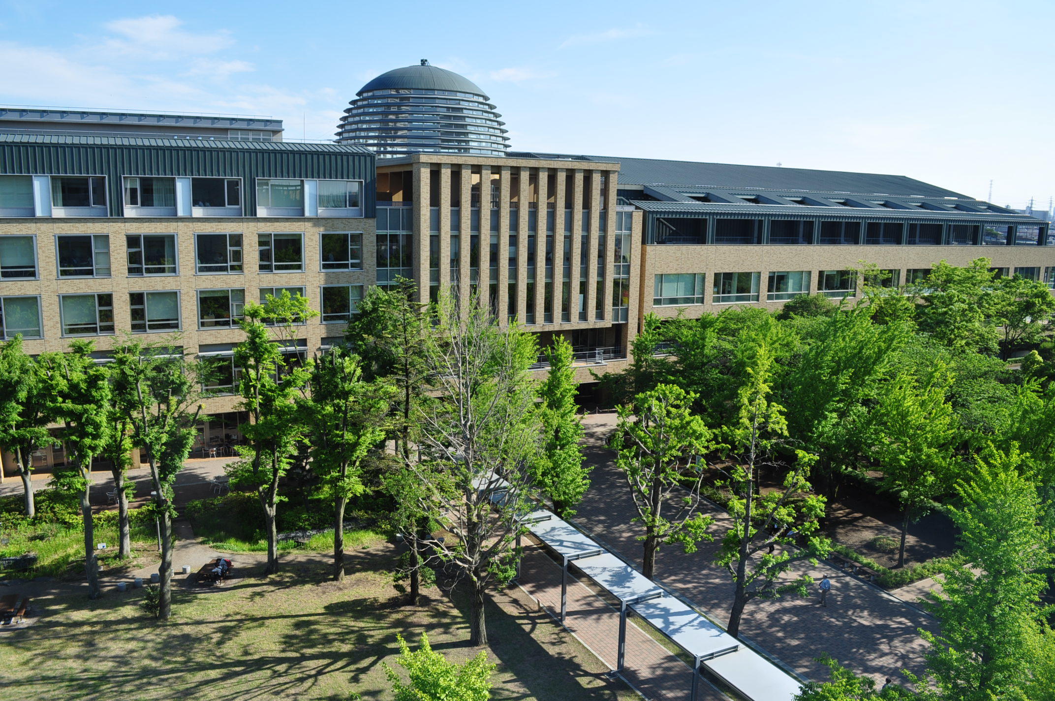 脚本 家 に なるには 大学