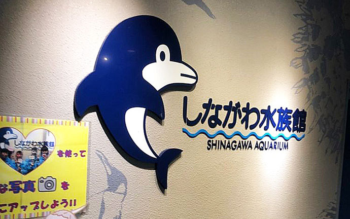 しながわ水族館を楽しむ2つのデートプラン 予算やみどころを解説します 年4月1日 エキサイトニュース 9 10