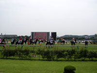 競馬場で超万馬券が当たったら……のウワサの真相