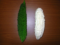 白いゴーヤーを発見！　その正体は？